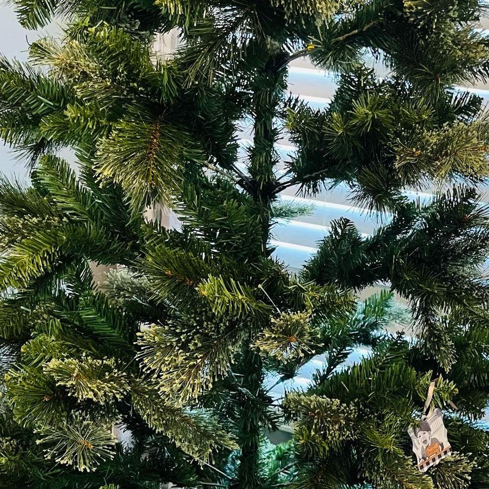 Meet your Posher, Coach shelly